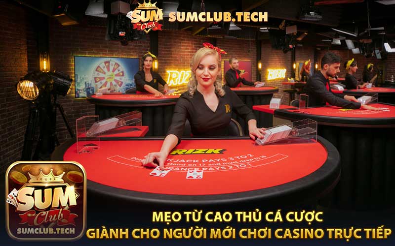 Thêm 2 mẹo từ cao thủ cá cược giành cho người mới chơi casino trực tiếp